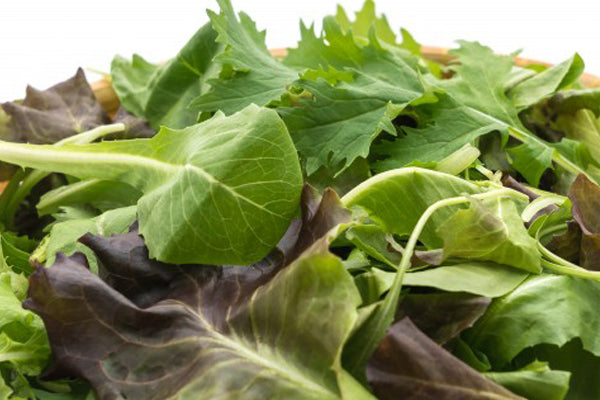 Food that are packed with Iron