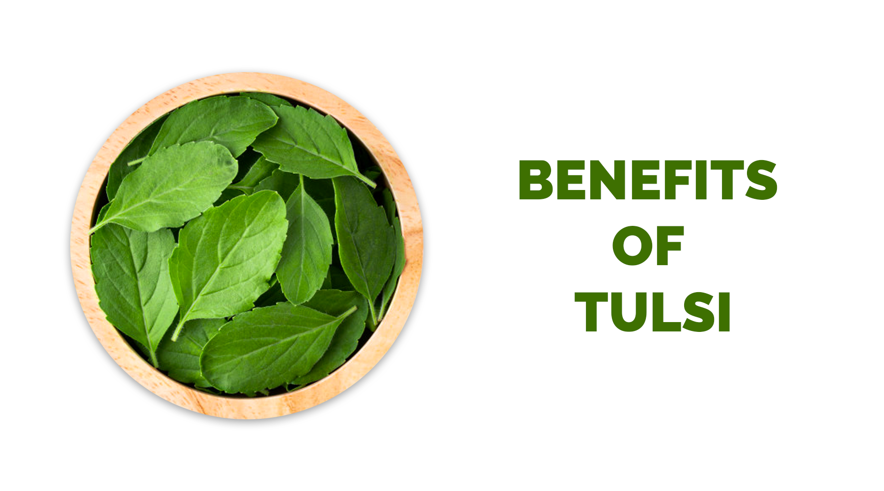 Tulsi Benefits