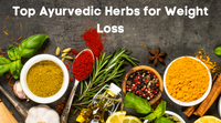 Top Ayurvedic Herbs for Weight Loss