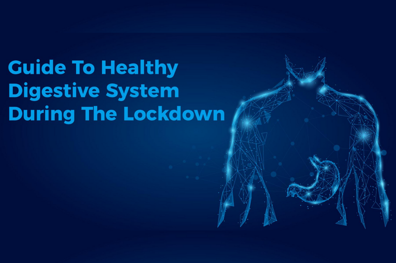 healthy digestive system