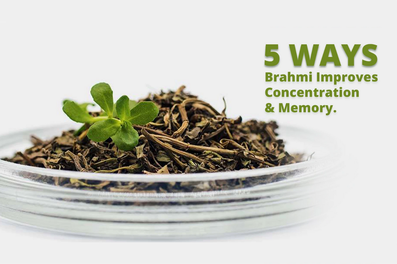 Brahmi Improves Concentration & Memory