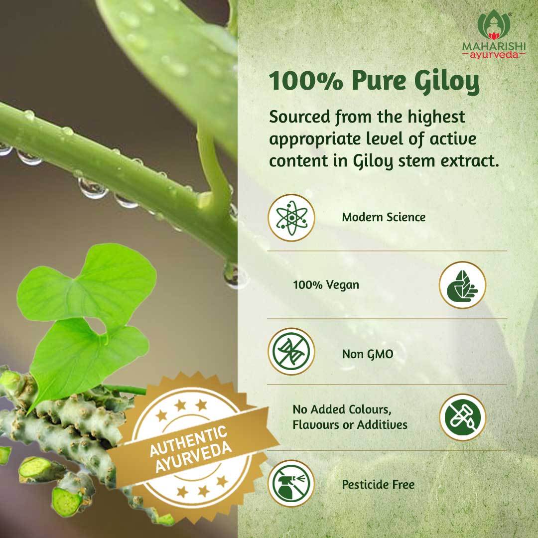 Giloy Ghan Vati Tablets7