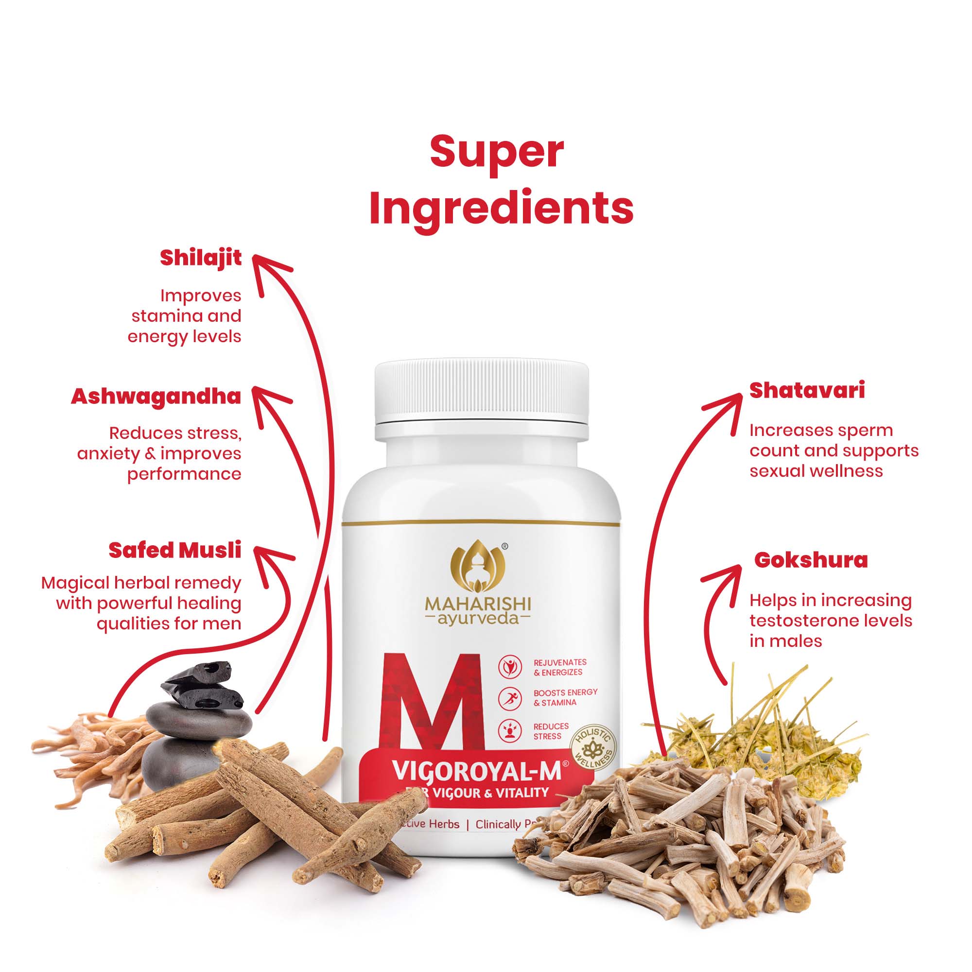 Vigoroyal M - Male Energizer | 60 tablets in pack - Maharishi Ayurveda3