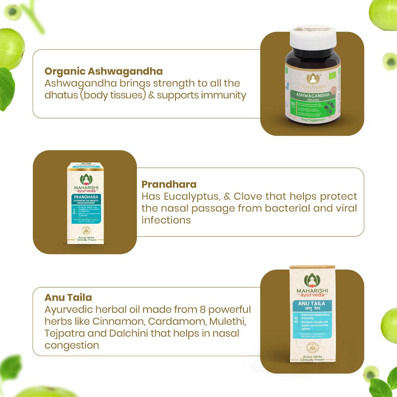 Immunity+ Kit - Complete Family Protection (Chyavanprash 500gms, Organic Ashwagandha 60 Tabs, Prandhara 3ml & Anu Taila 10 ml) - Maharishi Ayurveda4