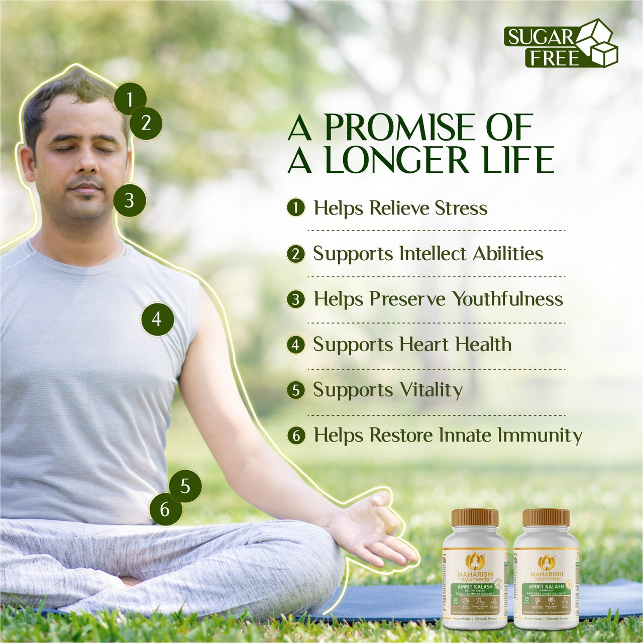 Maharishi Ayurveda Amrit Kalash Sugar Free | Super Rasayana for Perfect Health | Restores Innate Immunity | Helps Preserve Youthfulness | Helps Heart Health | Daily Health & Longevity | Ideal for Diabetics | 60 Nectar & 60 Ambrosia Tablets - Maharishi Ayurveda